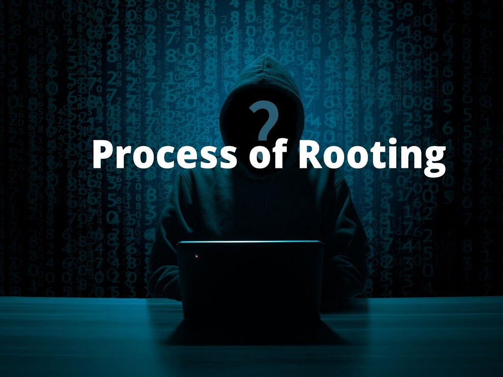 Process-of-Rooting