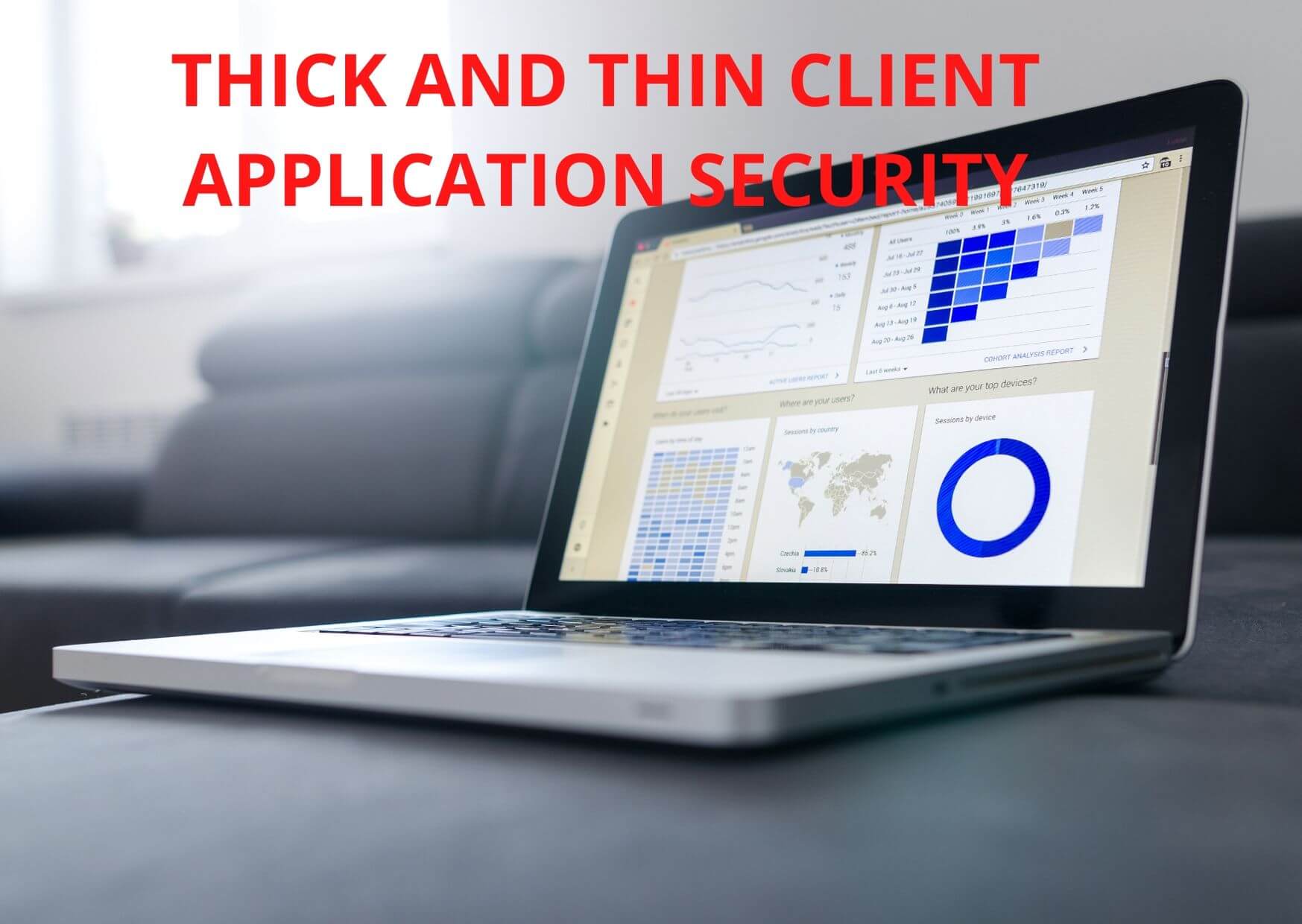 ThickandThinClient